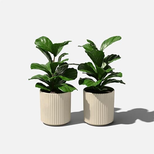 Veradek Demi Series Planter - Large Round Outdoor Planter - color: Sand, size: 12 inch - 2 Pack