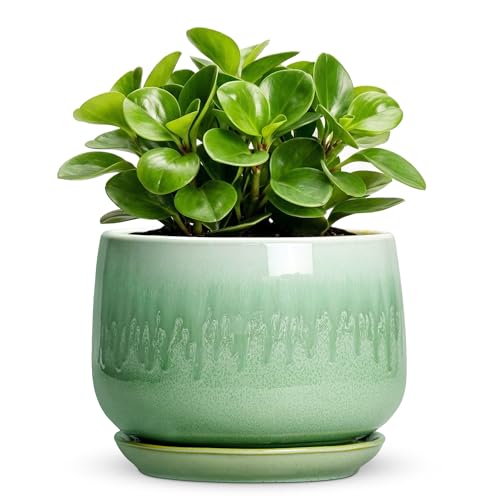 6 Inch Planter, Ceramic Plant Pots for Indoor Plants, Green - size: 6 Inch, style: Green