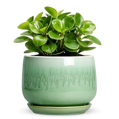 6 Inch Planter, Ceramic Plant Pots for Indoor Plants, Green - size: 6 Inch, style: Green