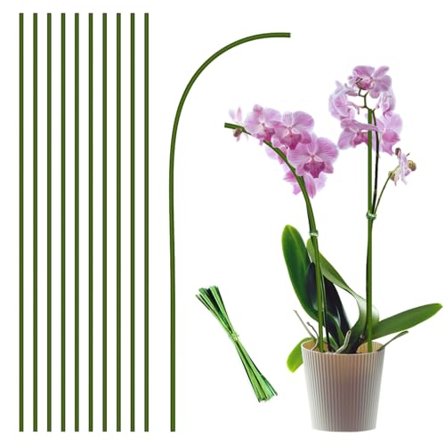 10Pcs Plant Stakes, 15IN Orchid Support Stakes for Indoor Plants - size: 15 Inches