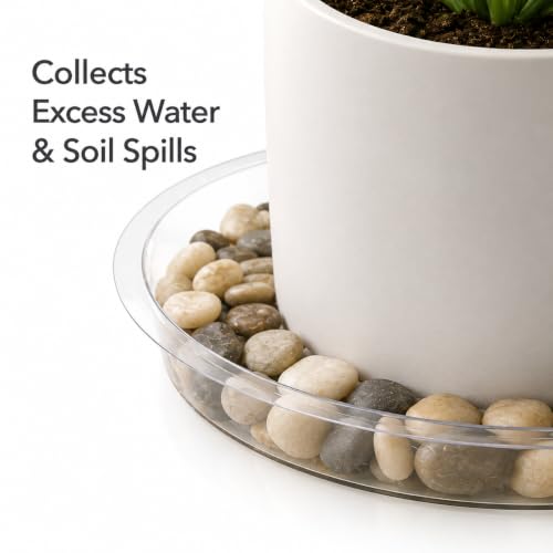 Gardzen Heavy Duty Clear Plastic Plant Saucers, Flower Pot Tray - Excellent for Indoor & Outdoor Plants (6-Inch, 10-Pack) - size: 6 Inch