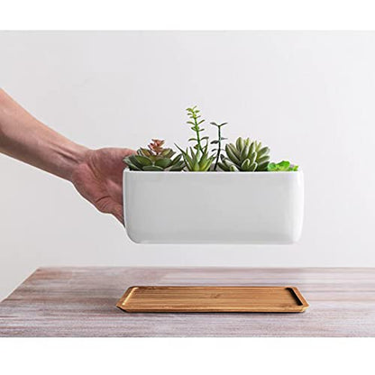 White Ceramic Succulent Planters, Indoor and Outdoor Succulent Planters, Set of 2 Small Cactus Containers, Bonsai Pots, Flower Pots with Drainage Hole and Bamboo Bowl (No Plant) - color: Rectangular