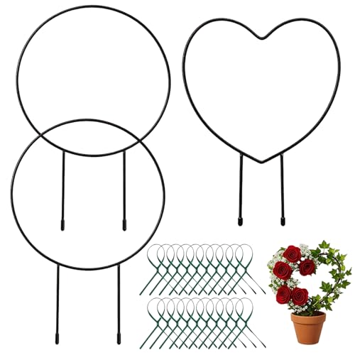 3 Pcs Hoya Trellis Set, Heart Shaped Plant Stand,