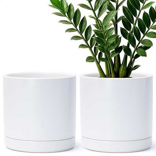 D'vine Dev 2-Pack Ceramic Pots with Saucers, White, 8.2 in, 94-V-D-1 - color: White, size: 8 Inch