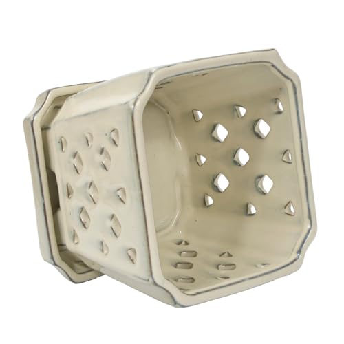 W&W Orchid Pot with Holes and Saucer for Repotting and Better Grow, Cream White, 7" - color: Cream White