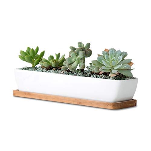 11inch Long Rectangle White Ceramic Succulent Planter Pots,with Bamboo Saucers. Product Size:11x2.23x1.69inch.