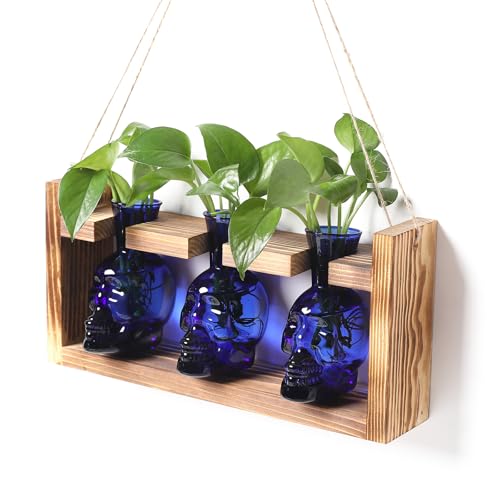 Plant Terrarium Propagation Stations Skull Planter Vase Skulls Decor - color: Blue