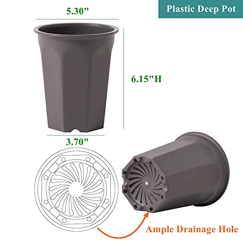 10 Pack 5.30 Inch Plastic Deep Nursery and Seedling Pots, Round Transplant Seed Starter Planter, Gray Color - color: Gray, size: 5.30 inch