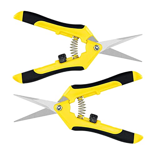 iPower 6.5 Inch Gardening Scissors Hand Pruner Pruning Shear with Straight Stainless Steel Blades, Yellow, 2-Pack - color: Yellow, size: 2-pack