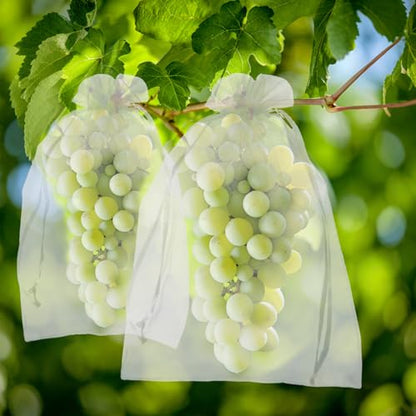 50PCS Fruit Protection Bags, 6x9 Inch White Fruit Netting Cover Bags Drawstring Mesh Fruit Protectors Pest Barrier for Plant Fruit Flower Veggies Garden - size: 50PCS 6x9 inches