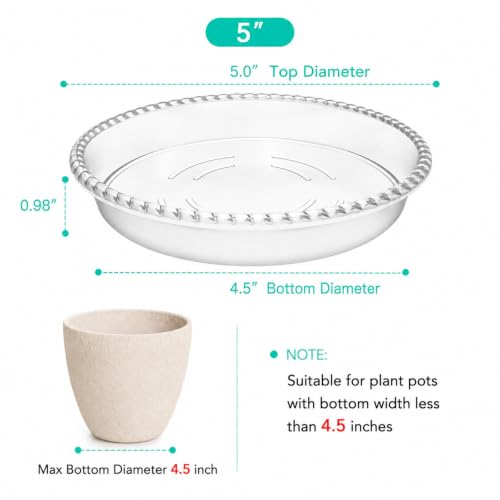 6 Pack Clear Plant Saucer 5 6 8 10 12 14 inch, Plastic Plant Trays for Indoor, Round Flower Plant Pot Saucer, Sturdy Plant Water Catcher Tray - size: 5 inch