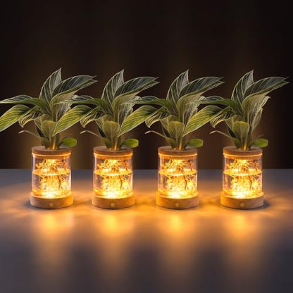 Plant Propagation Station with Wooden Saucer, Glass Terrarium with Dimmable Function Hydroponic Container Vase Jars Gardening Gifts for Mom Women Plant Lovers(4 Pack) - color: 4 Pack Cylindrical