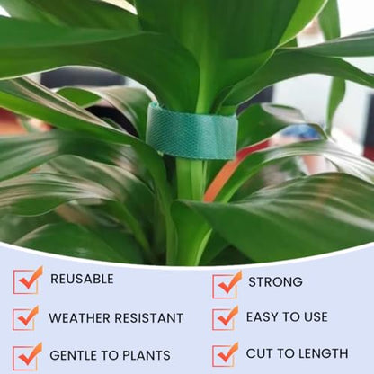 Plant Ties Hook and Loop Garden Tapes 1/2'' Wide Fabric Fastening Tape Double Sided Self Gripping Strap Reusable Adjustable Cable Ties Garden Vines Ties, Soft Plant Tie (1/2 Inch x 32 ft, Green) - size: 1/2 Inch x 32 Feet
