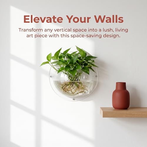 Transparent Bottle Wall Hanging Hydroponic Terrarium Multiple Sizes Vase