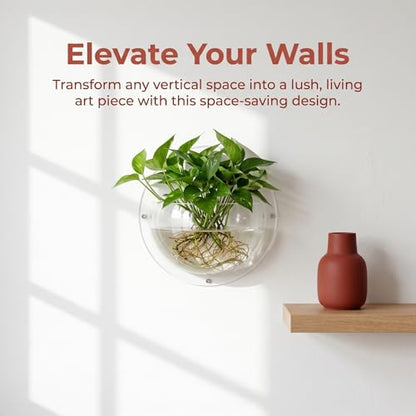 Transparent Bottle Wall Hanging Hydroponic Terrarium Multiple Sizes Vase