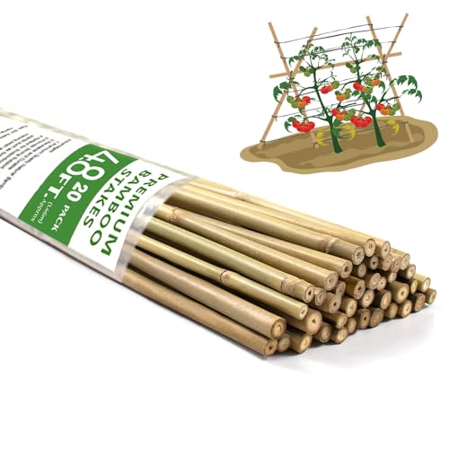 Bamboo Stakes,4.8FT Natural Bamboo Garden Stakes,BOVITRO 20Pcs Plant Stakes - size: 57.6 Inches, Pack of 20