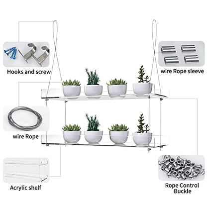 2-Tier Acrylic Window Display Shelves - color: 2 Tier