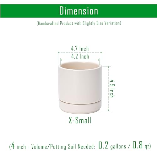 D'vine Dev 4-Pack Ceramic Pots with Saucers, Oatmeal, 4.7 in, 94-X-B-8 - color: Oatmeal, size: 4.7 Inch