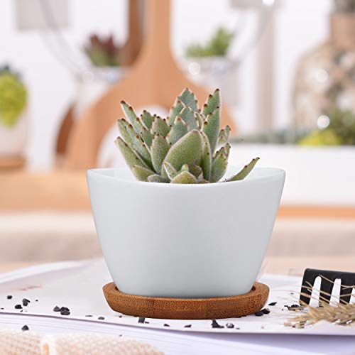 Succluent Pots,12 Pack Small Flower Pots,Planter Pots with Drinage