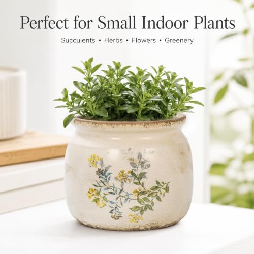 Dosayes Flower Pot,Vintage Ceramic Pot for Plant with Drainage Holes - color: Yellow