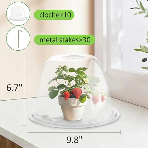 10" D × 6.7" H Plant Protectors from Animals, Garden Cloches for Seedlings Nursery Pots, Durable Humidity Domes with Ventilation Holes, Clear Plant Covers, Mini Greenhouse for Plants 10-Pack - size: 10" D × 6.7" H 10P
