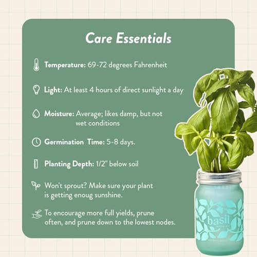 Modern Sprout Mason Garden Jar - Self-Watering Hydroponics Growing Kit-3Pk - color: Poppy + Rosemary + Mint