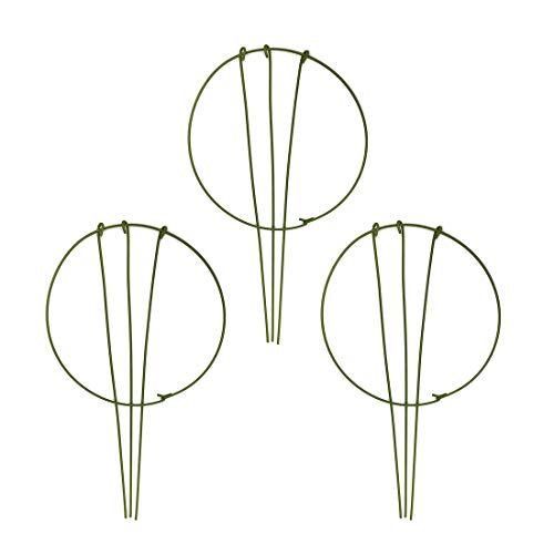 3-Pack Garden Plant Support Stake Green Plant Support Rings for Climbing Plant, Flowers (10" Wide x 17" High)