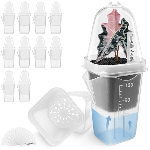 12 Pack 2.5" Small Clear Self Watering Pots with Humidity Dome for Indoor Plants,Seed Starter Cups, Tissue Culture Acclimation Kit,Alocasia Corm Propagation,African Violet,Cuttings,Seedling - color: Frosted Clear, size: 2.5"