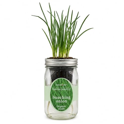 Hydroponic Vegetable Growing Kit, Self-Watering Mason Jar Vegetable Garden Starter Kit Indoor, Grow Bunching Onion from Organic Seeds (bunching Onion) - color: bunching onion