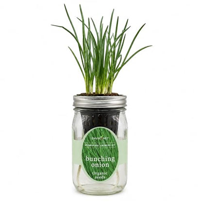 Hydroponic Vegetable Growing Kit, Self-Watering Mason Jar Vegetable Garden Starter Kit Indoor, Grow Bunching Onion from Organic Seeds (bunching Onion) - color: bunching onion