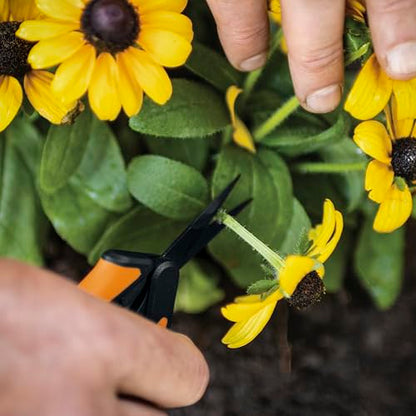 Fiskars 6" Non-Stick Pruning Snips, Resin-Resistant Garden Scissors, 2-Pack - style: Non-Stick Snips (2-Pack)