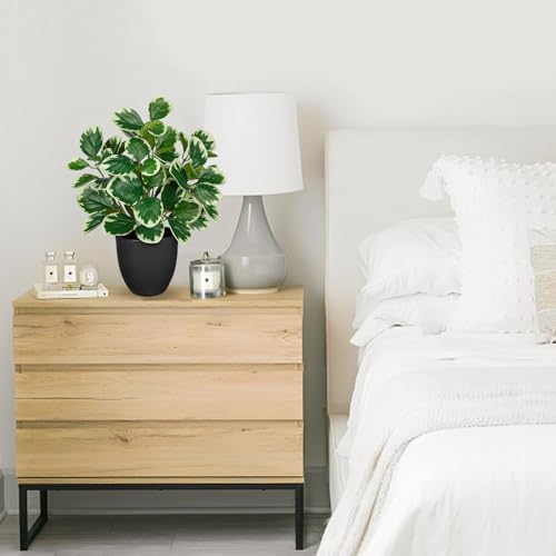 Villa Como 14.5" Artificial Plants Indoor Small Faux Peperomia Plant - color: #Funny White Margin