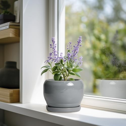 SQOWL 6 Inch Plant Pots - Ceramic Planter with Drainage Hole and Saucer, Round Ceramic Flower Pot Indoor Outdoor, Modern Succulent Planter, Bathroom Decor, Gifts for Plant Lovers, Grey - color: Glossy Gray, size: 6 Inch
