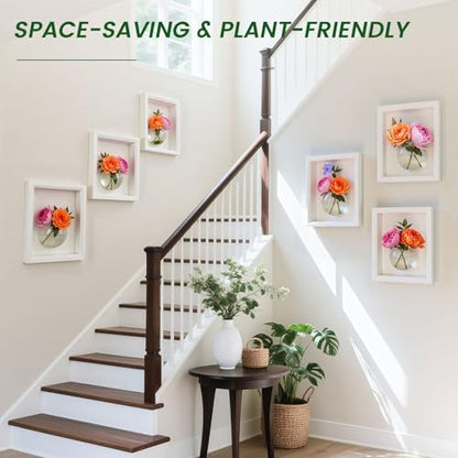 DomeStar Set of 6 Wall Vases, Wall Mounted Propagation Station - size: 6pcs