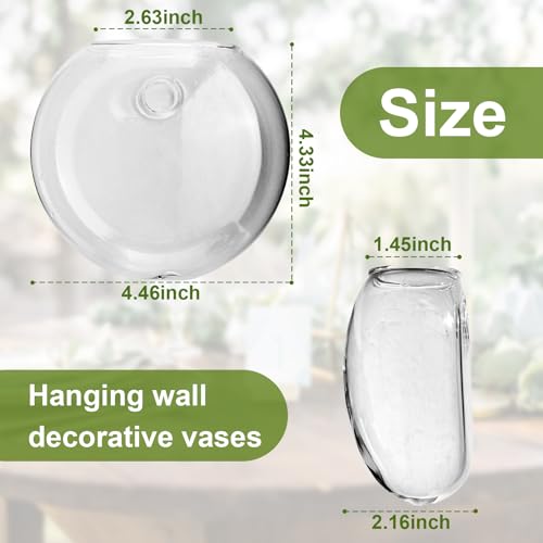 Wall Mount Plant Propagation Station - Clear Hydroponic Glass Vase, Oblate Planter for Indoor Plants | Perfect for Home, Office, Bathroom Decor | Gift for Plant Lovers (2)