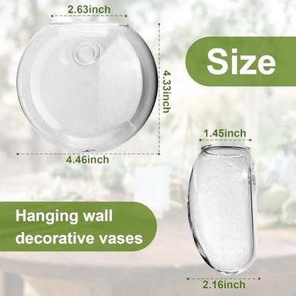 Wall Mount Plant Propagation Station - Clear Hydroponic Glass Vase, Oblate Planter for Indoor Plants | Perfect for Home, Office, Bathroom Decor | Gift for Plant Lovers (2)