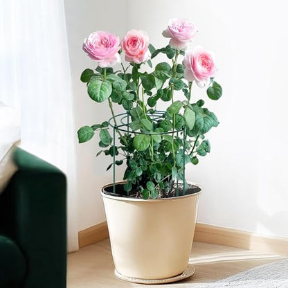 4pack Peony Cages and Supports, 14 x 32 Inch Four Legs Peony Cage, Heavy-Duty Peonies Support Cages, Peony Ring for Roses, Hydrangeas, Sage, Peonies, Cucumbers, Tomato - size: 14"x32"-4pack