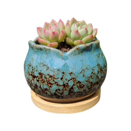 Cute 4" Round Ceramic Home Garden Decoration Succulent Cactus Flower Pots Container -Plant Not Included，Blue - color: Blue