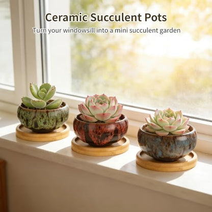 OMISTAR 12 PCS Mini Ceramic Succulent Pots 2.5 in, Colorful Glazed Planters with Drainage Hole, Small Round Flower Pots with Bamboo Trays, Indoor Desktop Windowsill Plant Pot Set
