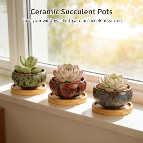 OMISTAR 12 PCS Mini Ceramic Succulent Pots 2.5 in, Colorful Glazed Planters with Drainage Hole, Small Round Flower Pots with Bamboo Trays, Indoor Desktop Windowsill Plant Pot Set