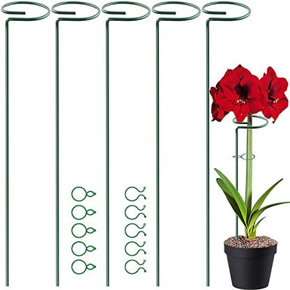 HiGift 5 Pack Plant Support Stakes, Garden Single Stem Flower Support Stick Metal Amaryllis Plant Cage Support Rings with 10pcs Plant Clips for Orchid Lily Peony Rose Stem (40 cm/16 inch Long) - size: 16 Inch-5 Pack