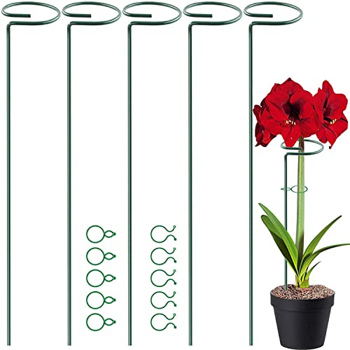HiGift 5 Pack Plant Support Stakes, Garden Single Stem Flower Support Stick Metal Amaryllis Plant Cage Support Rings with 10pcs Plant Clips for Orchid Lily Peony Rose Stem (40 cm/16 inch Long) - size: 16 Inch-5 Pack