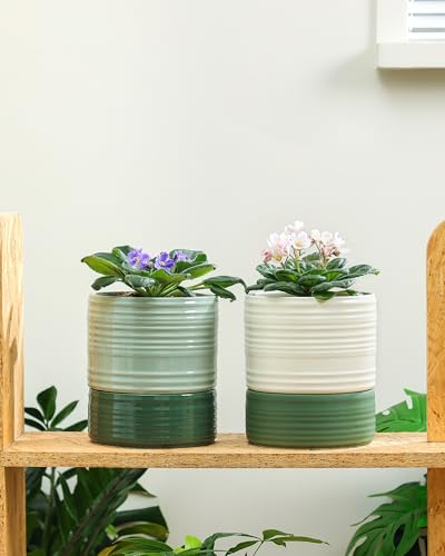 Fayoula Self Watering Pots for Indoor Plants, 6 Inch Ceramic Self Watering Plant Pot, Planter Pot with Wick Rope and Drainage Hole for African Violet Succulent Herbs (White Matte) - color: White Matte