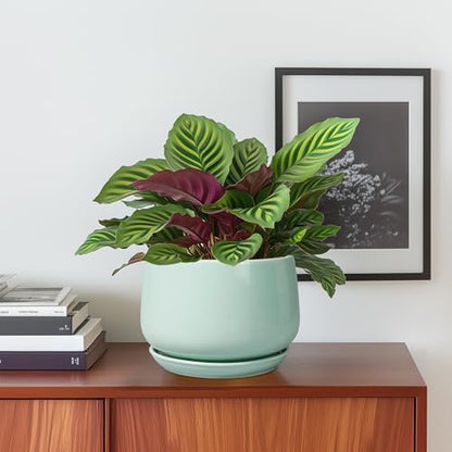 G EPGardening Ceramic Plant Pots, 6 Inch Pot for Plants, Green - color: Mint Green, size: 5 Inch