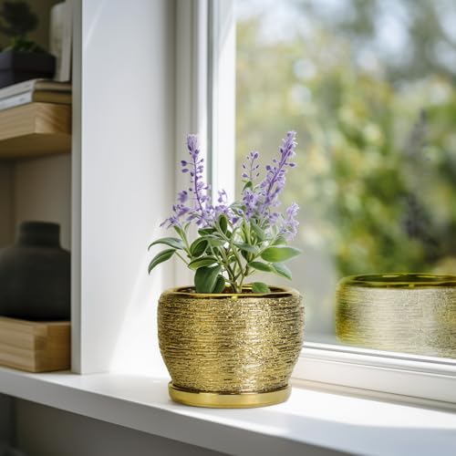 SQOWL Ceramic Planter - 6 Inch Plant Pot Indoor Outdoor, Modern Round Planter with Drainage Hole and Plant Saucer, Decorative Small Flower Pot, Home Decor, Birthday Gifts, Gold - color: Golden, size: 6 Inch