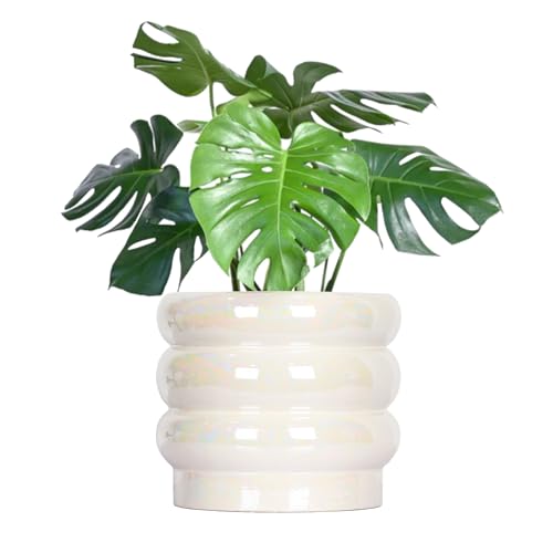 8 Inch Ceramic Plant Pot with Drainage, Planter for Indoor Plants - color: White, size: 8 Inch (Single)