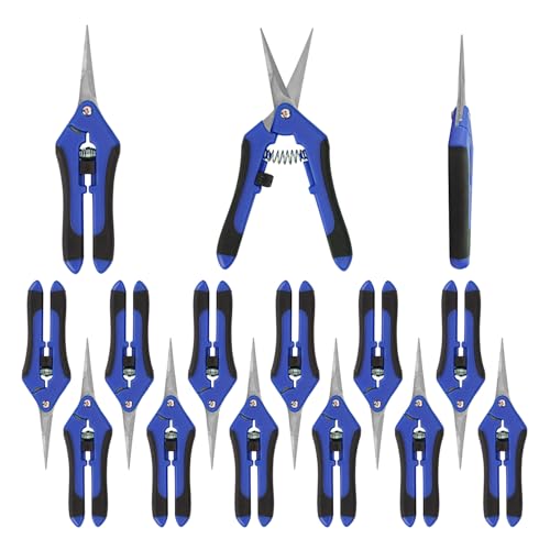 15 Pack 6.5 Inch Garden Pruning Scissors, Hand Pruner with Stainless Steel Blades, Sharp Point Gardening Shears Cutter, Gardening Pruning Shear, Supplies & Accessories(Blue)