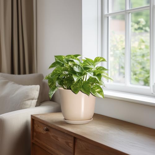Ceramic Pots for Plants, 5.6 Inch Plant Pot with Drainage, Beige - color: Beige, size: 6 Inch