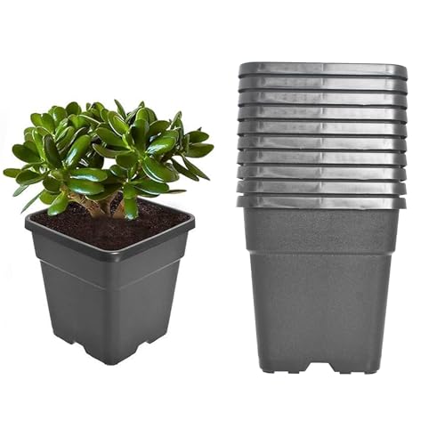 10 Pcs 1 Gallon Black Square Nursery Pots with Drainage Holes and Plant Flexible Seedling Pots Seed Starting Planter for Indoor Outdoor Flowers