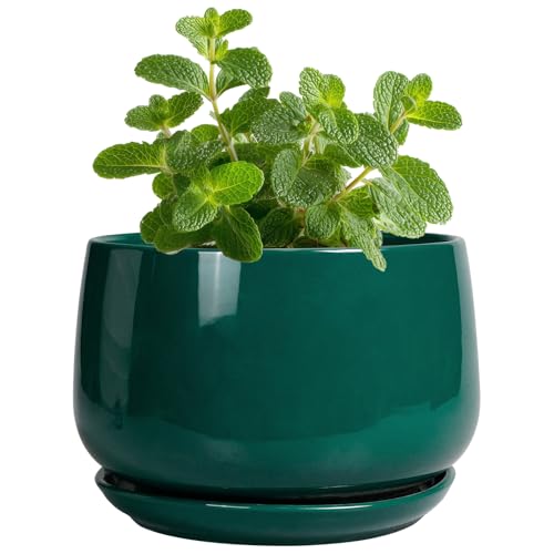 G EPGardening 4 inch Plant Pots, Small Ceramic Planter, Green - color: Blackish Green, size: 4 Inch